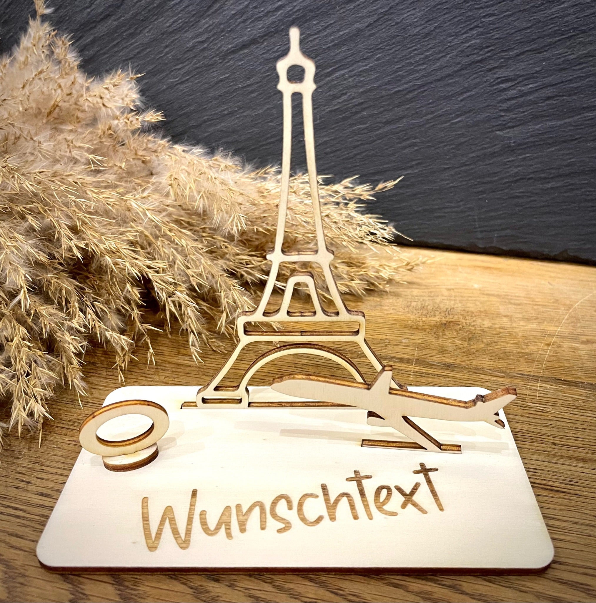 Geldscheinhalter Paris, Eiffelturm mit Flieger